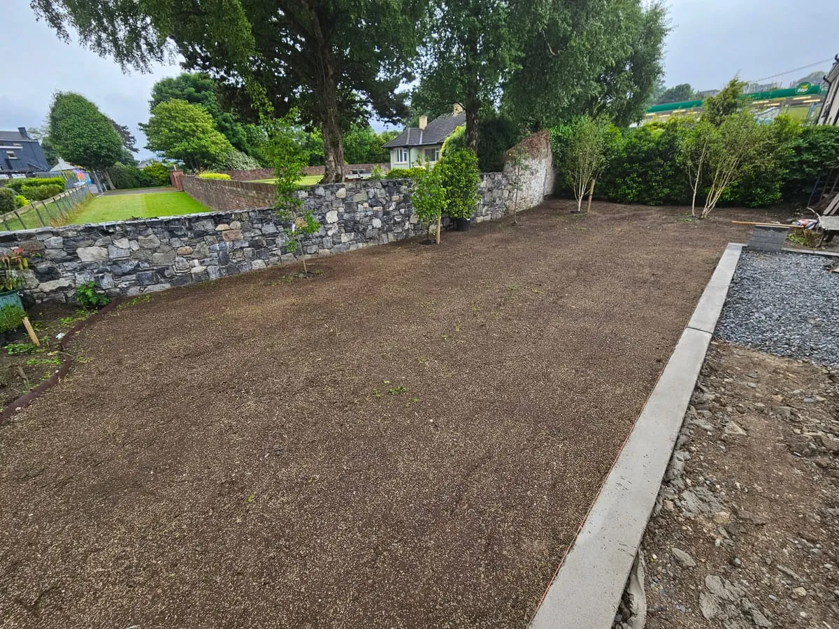 After garden clearance transformation