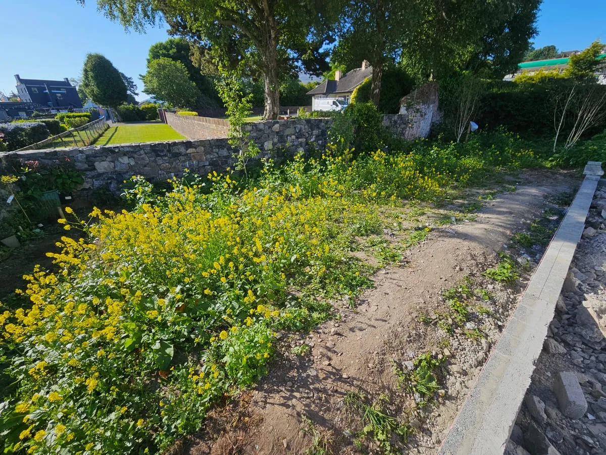 Before garden clearance