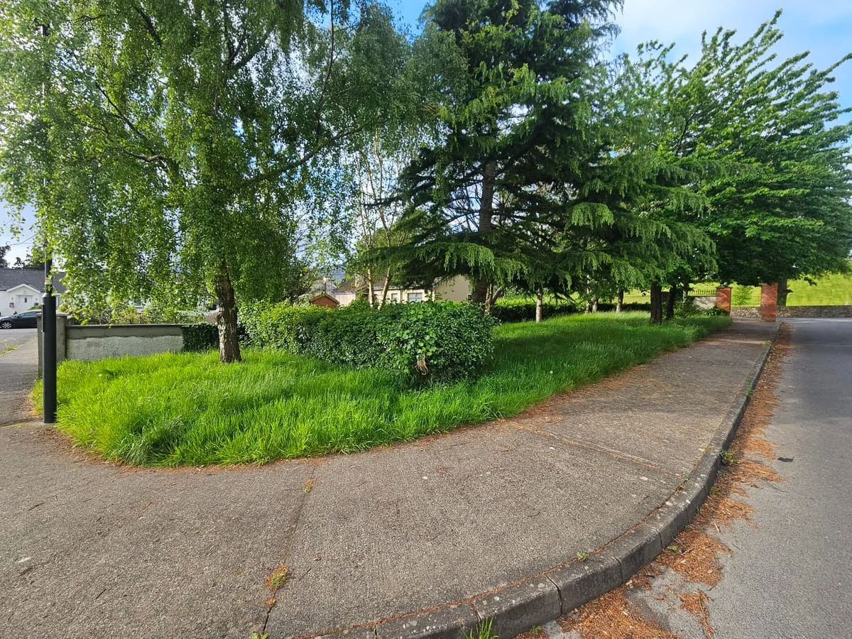 Before — Omeath Grass & Hedge Commercial Maintenance