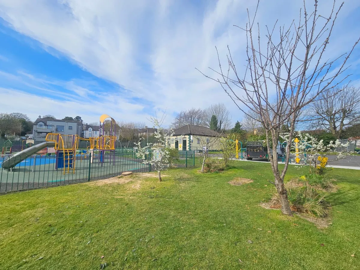 After — Omeath Tree Removal Commercial Maintenance