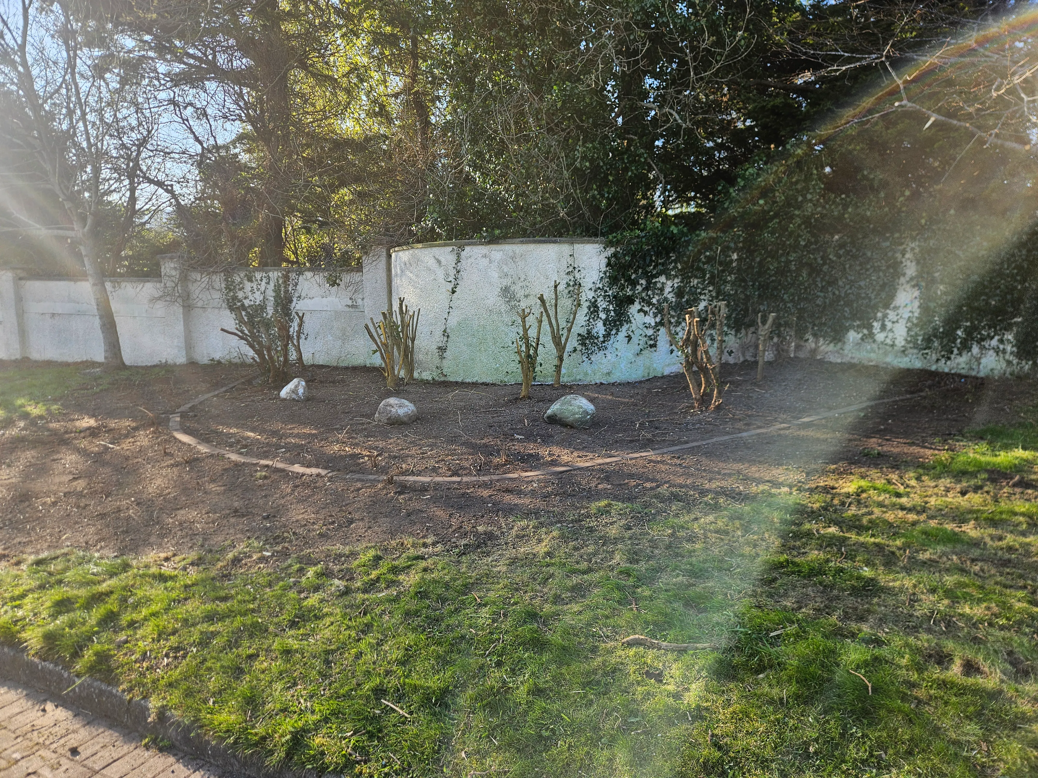 Overgrown Commercial Site? Here's How to Get It Under Control