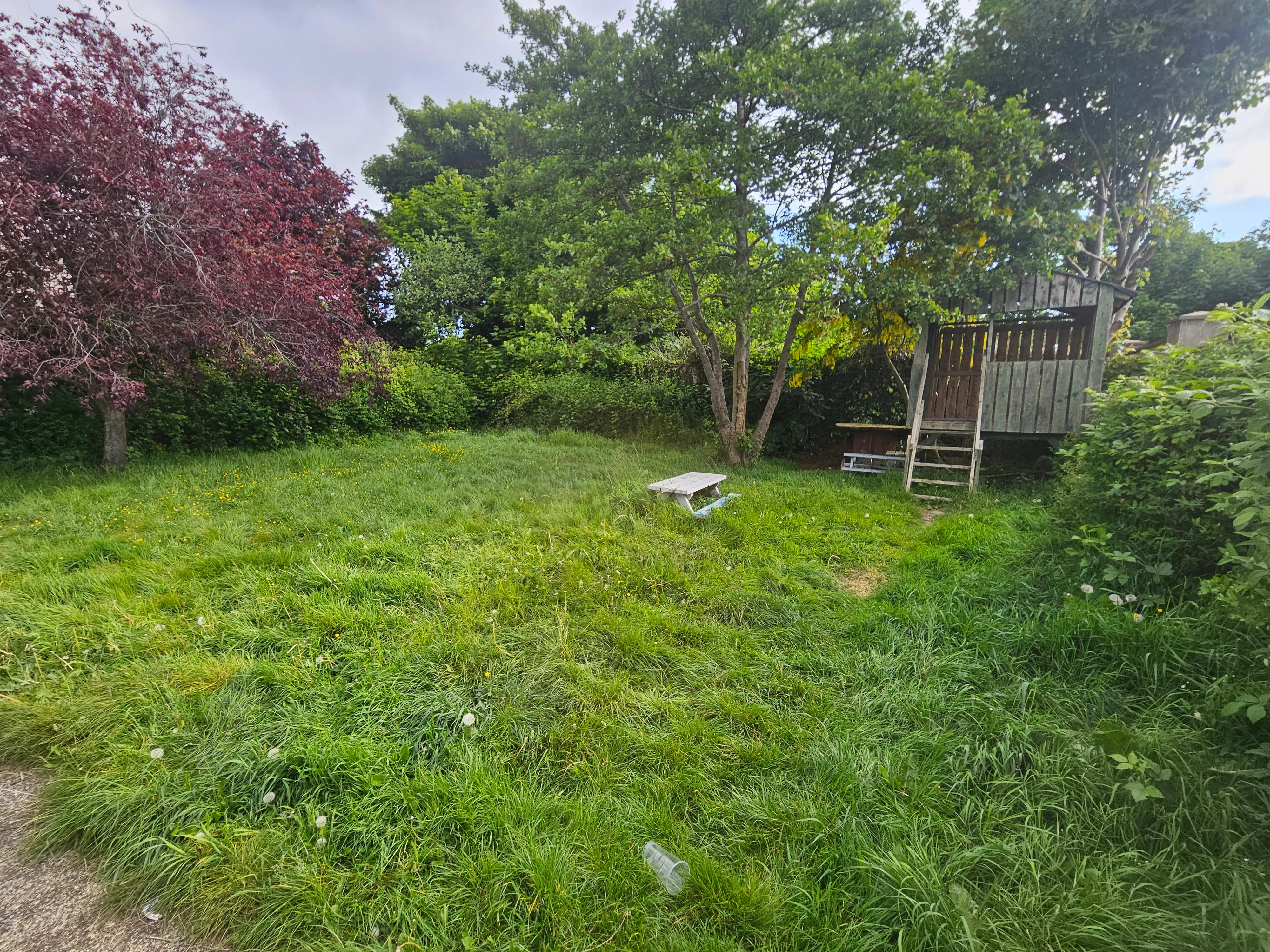 Seasonal Commercial Grounds Maintenance Plan for Irish Businesses