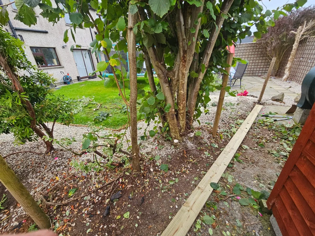 Before — Bay Estate Fencing