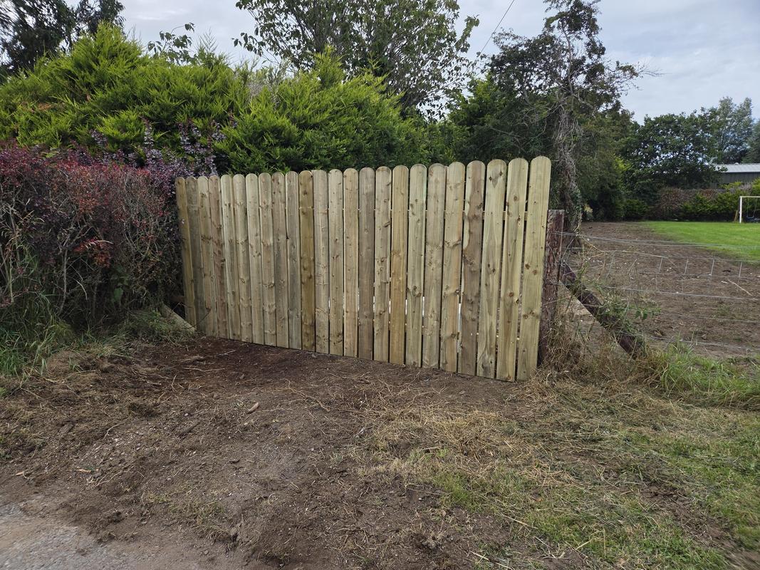 Garden Clearance project in Dundalk, County Louth