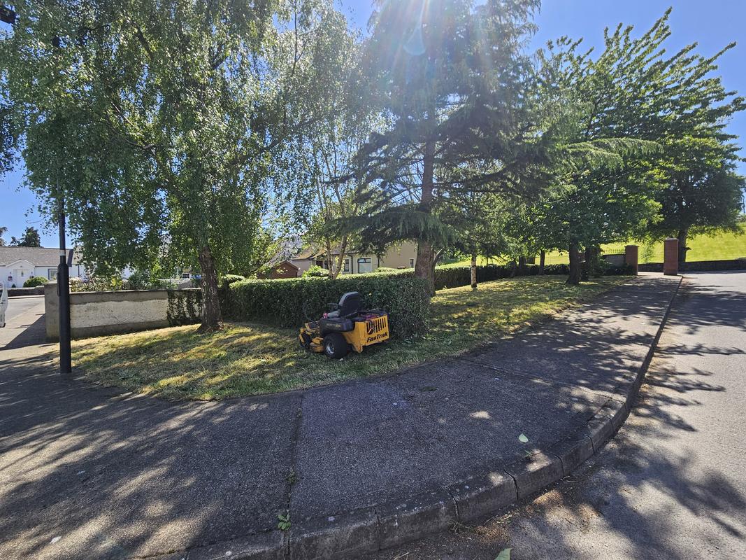 Garden Clearance project in Dundalk, County Louth