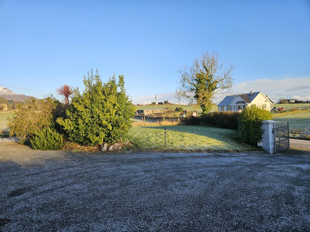Garden Clearance project in Dundalk, County Louth