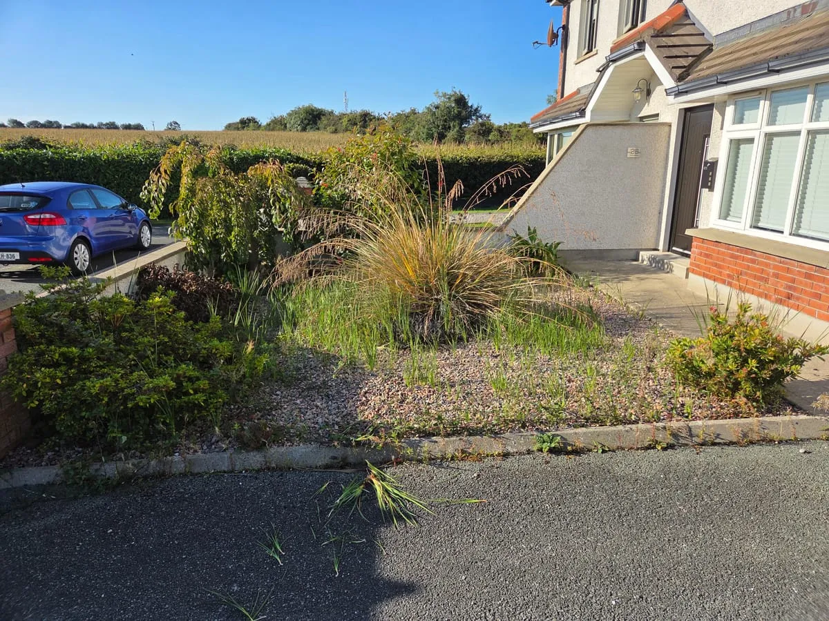 Before — Dromiskin Garden Landscaping