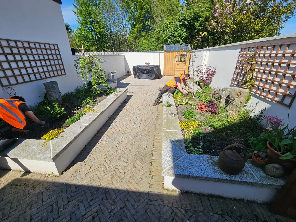 Before — Haynestown Garden Landscaping