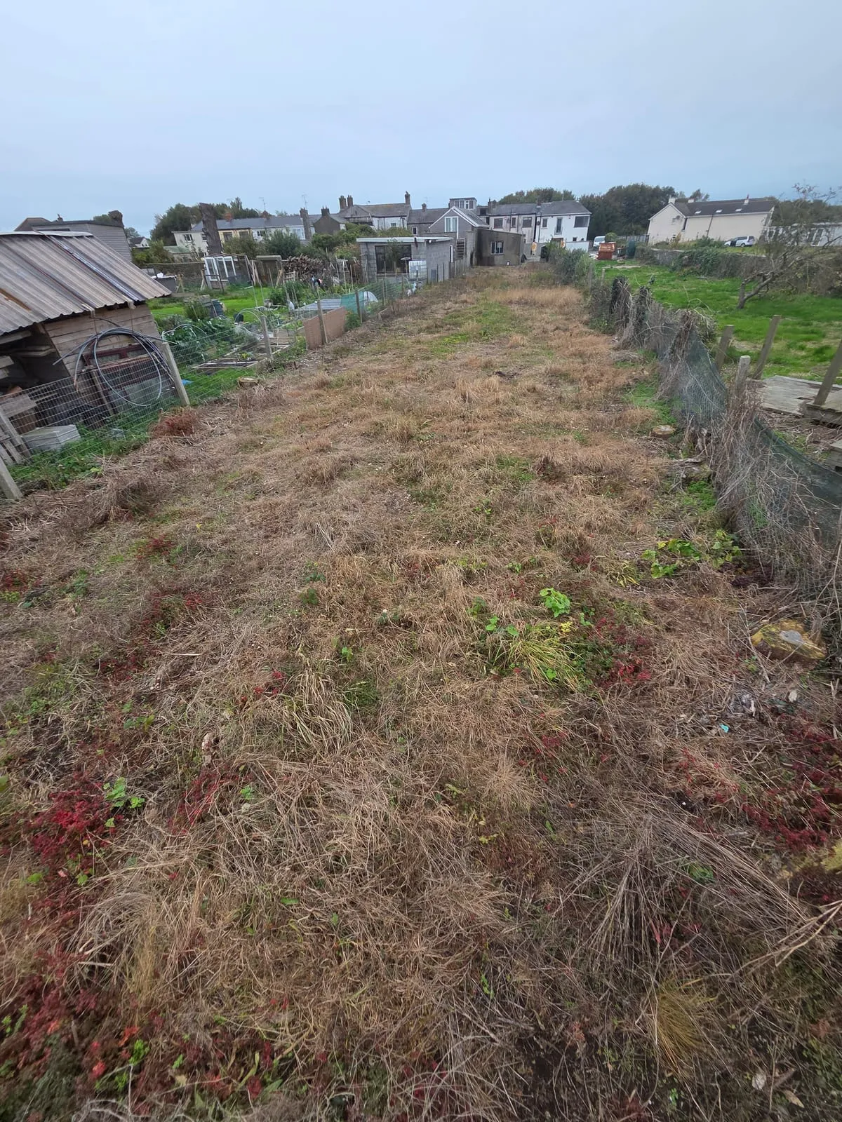 Before — Point Road Garden Landscaping