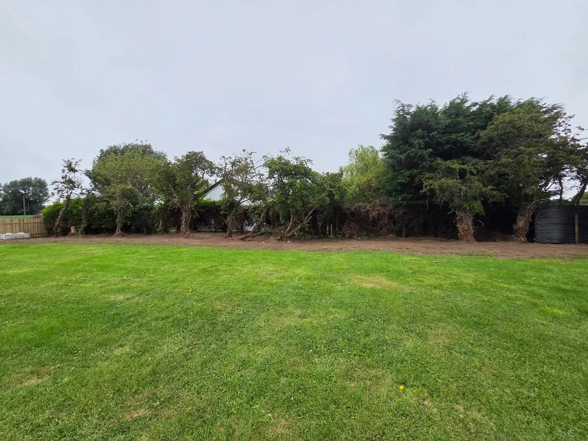 After — Dromiskin Garden Transformations