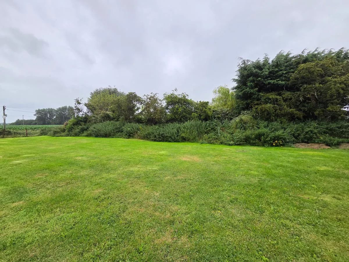 Before — Dromiskin Garden Transformations