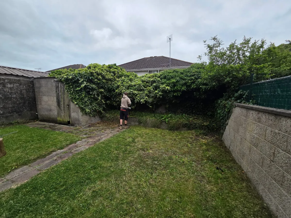 Before — Dundalk Garden Transformations