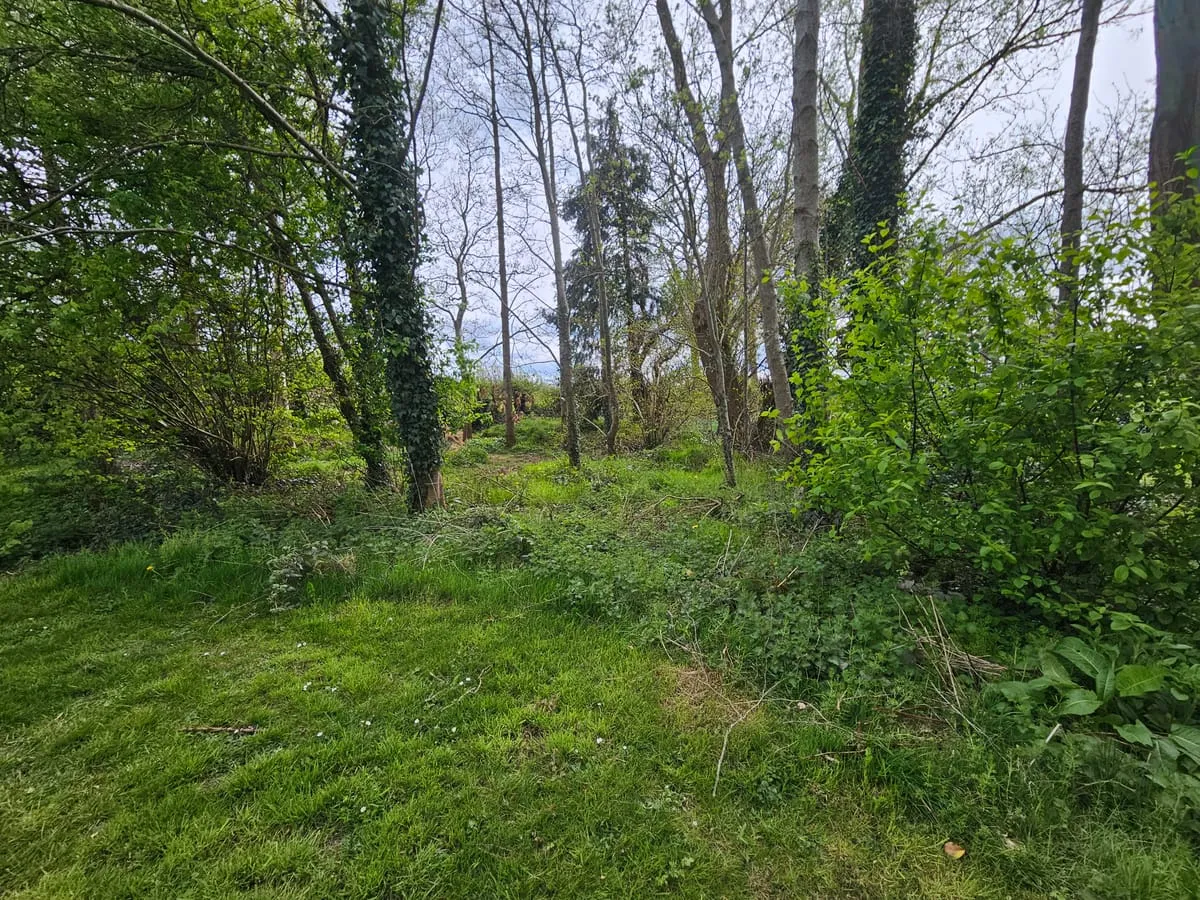 Before — Kilcurry Garden Transformations