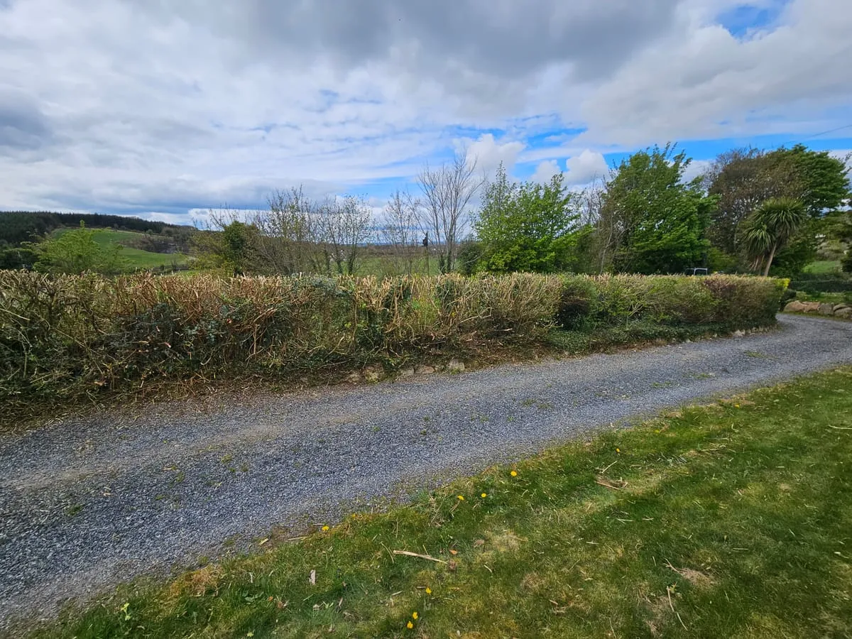 After — Ravensdale Hedge Trimming