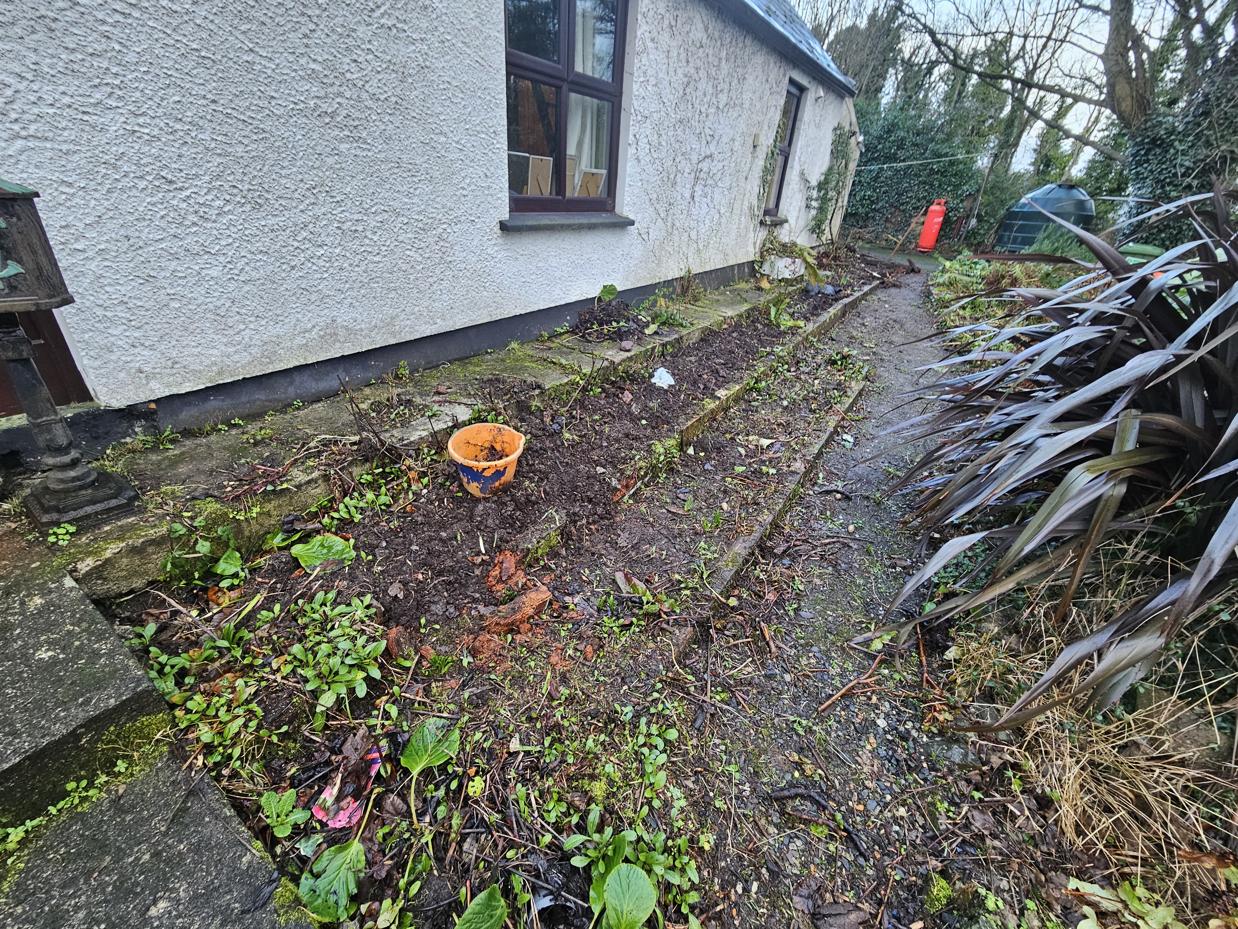 How to Clear an Overgrown Garden — A Step-by-Step Guide for Irish Homeowners