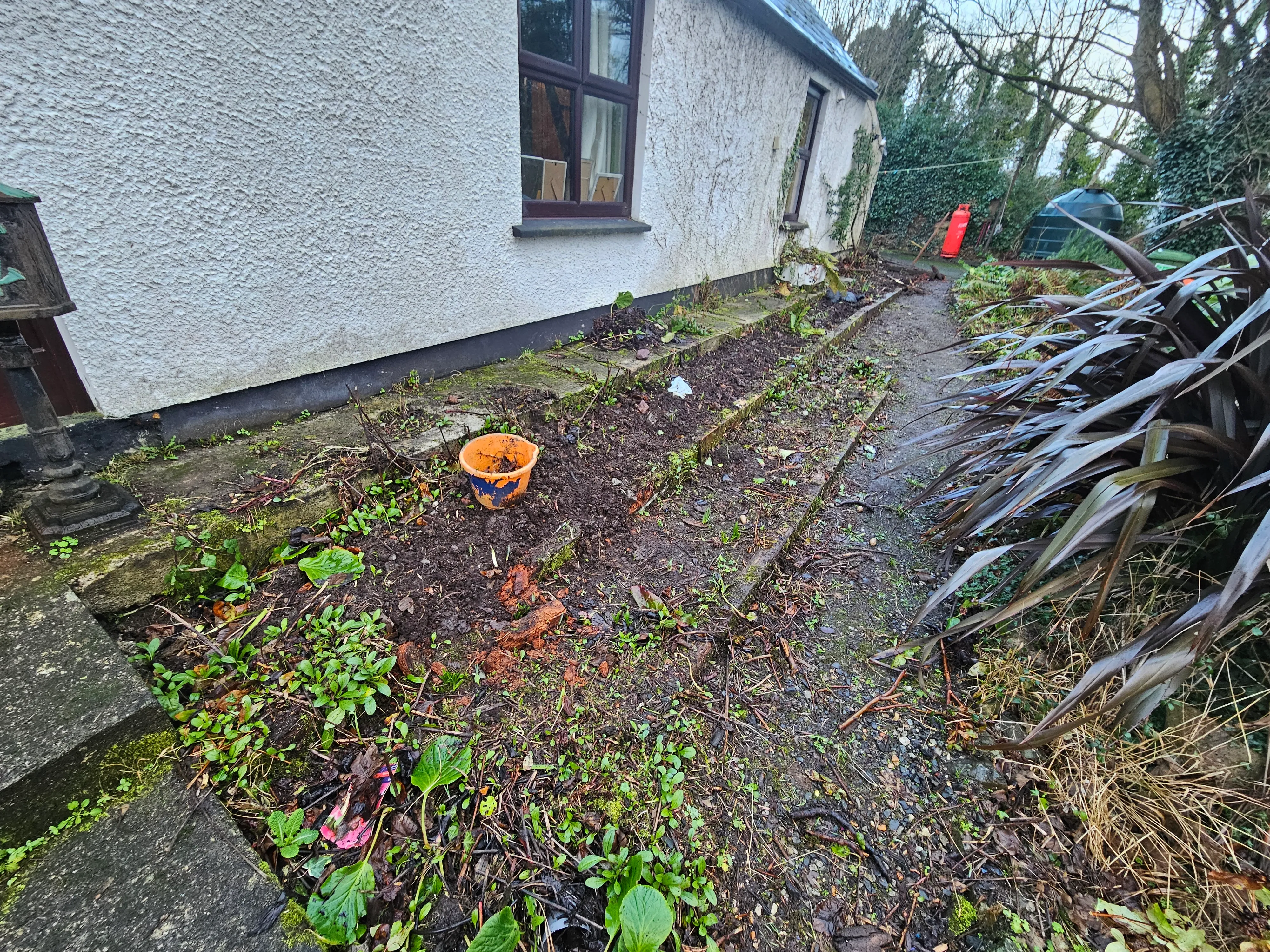 Gardening project 3 — Seamus & Pete, County Louth