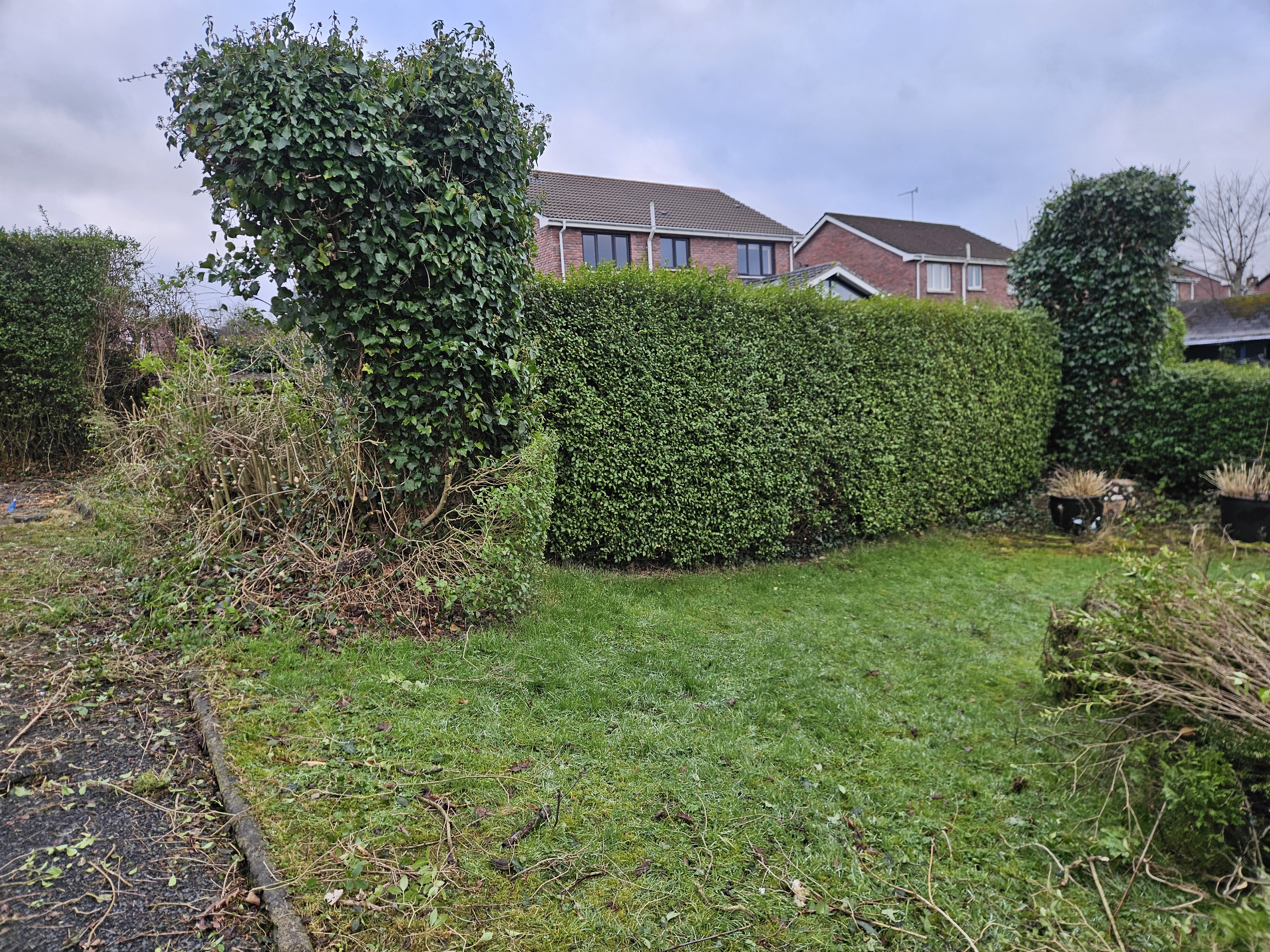 Overgrown Garden Transformation — From Jungle to Beautiful Outdoor Space