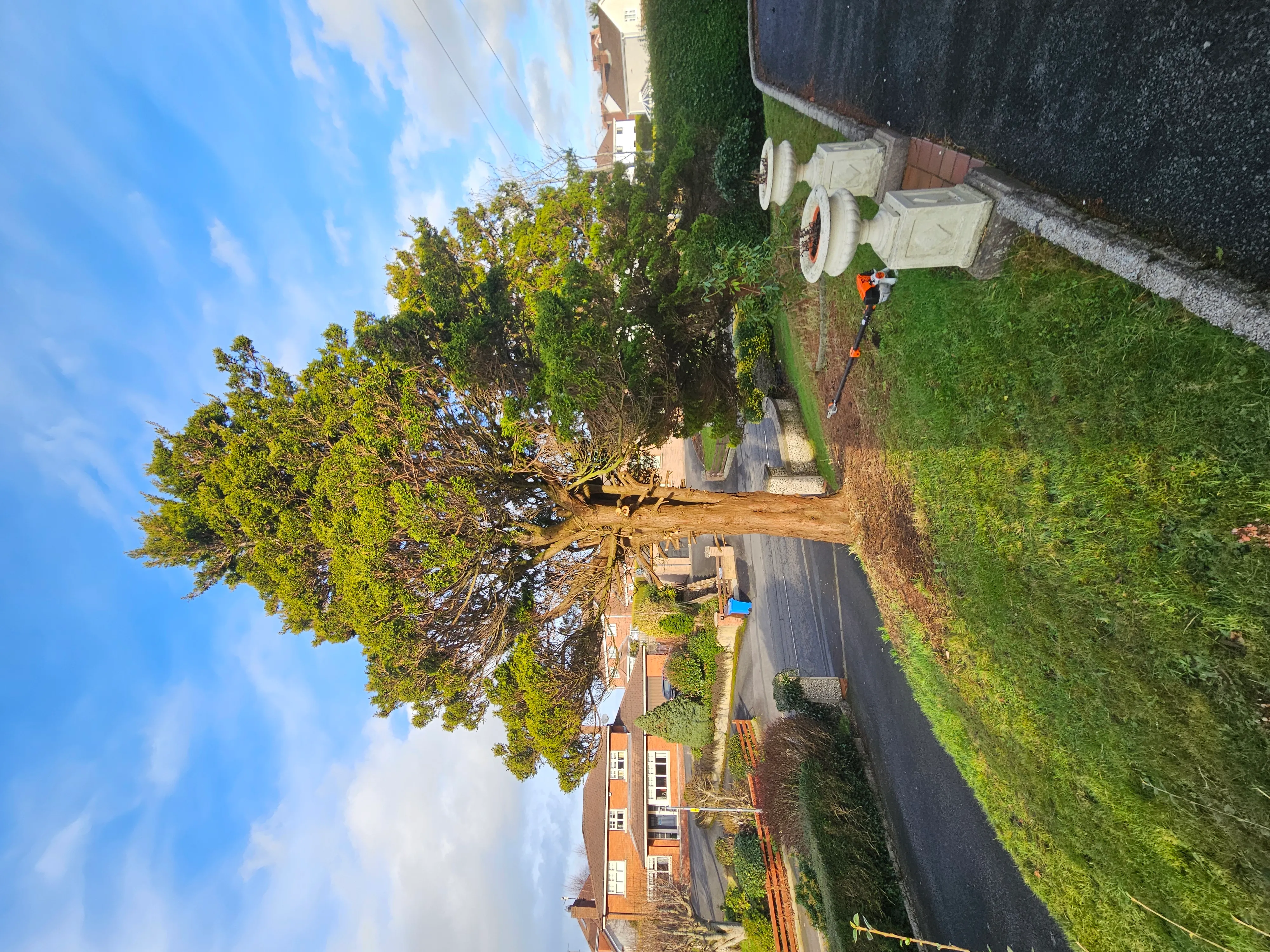 Gardening project 6 — Seamus & Pete, County Louth