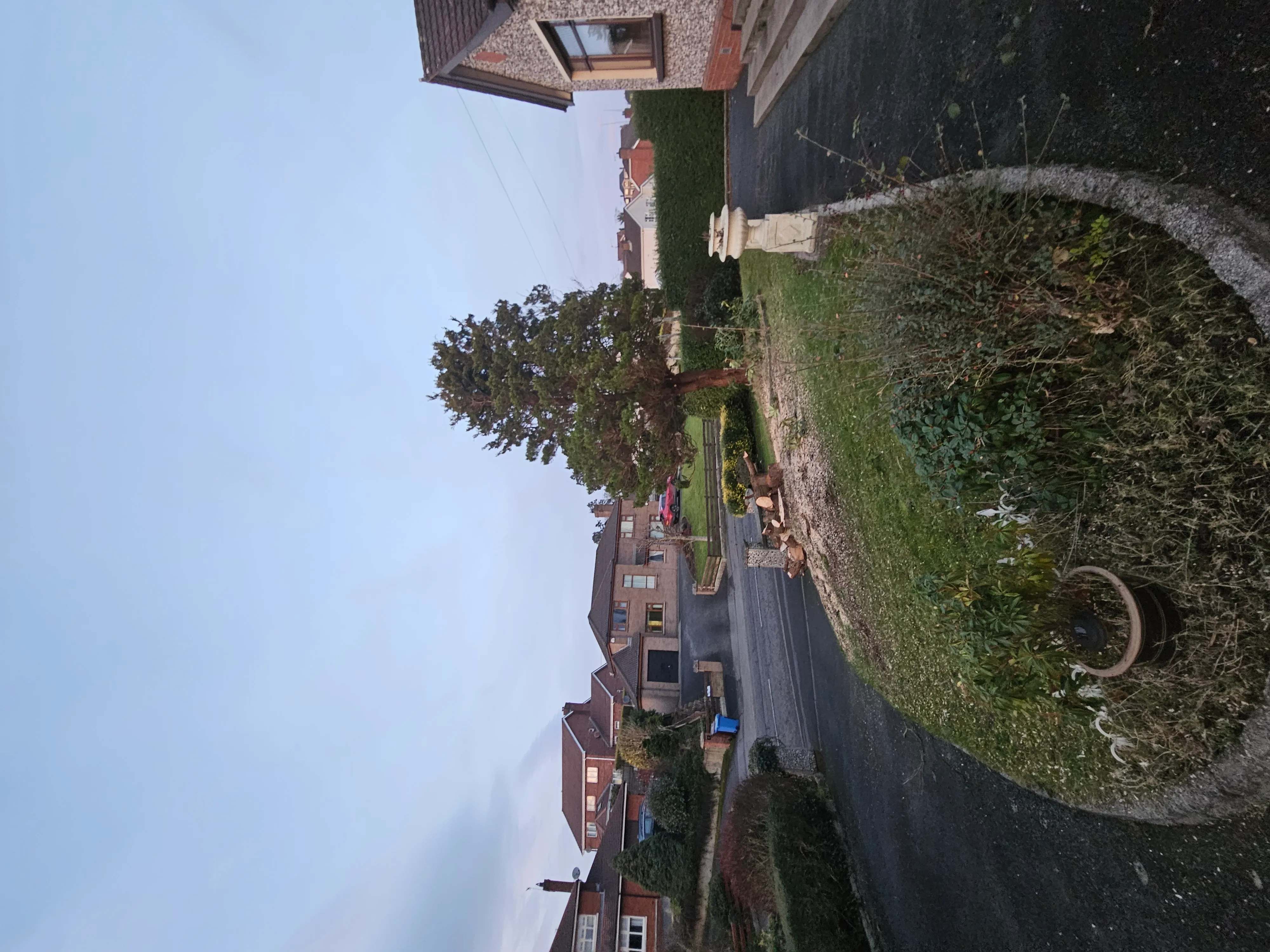 Gardening project 7 — Seamus & Pete, County Louth