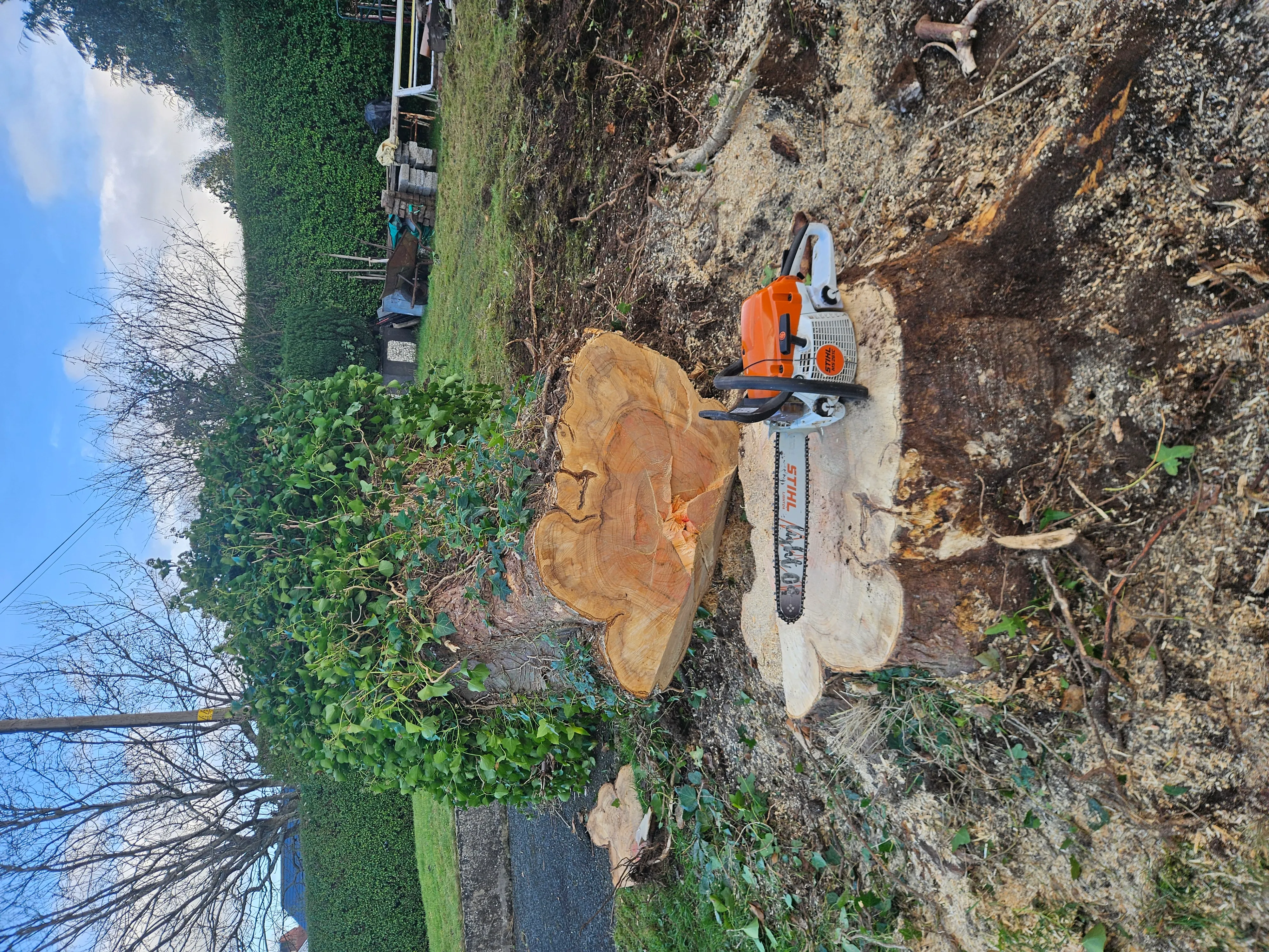 Gardening project 8 — Seamus & Pete, County Louth