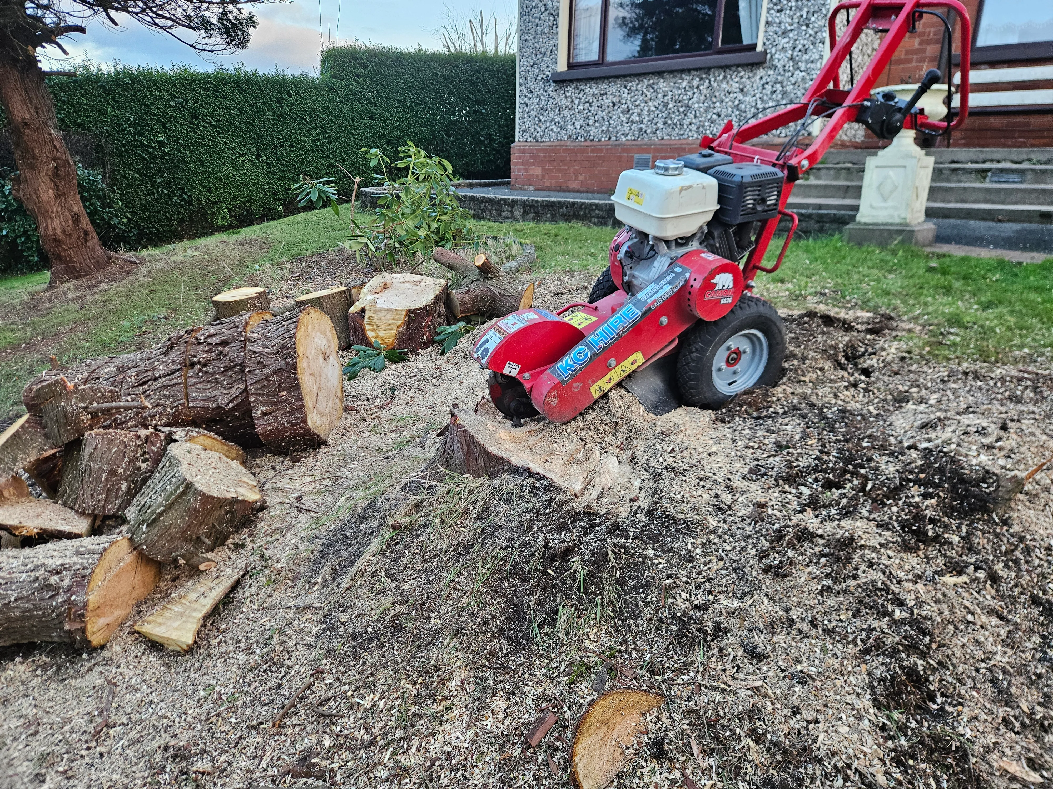 Gardening project 9 — Seamus & Pete, County Louth