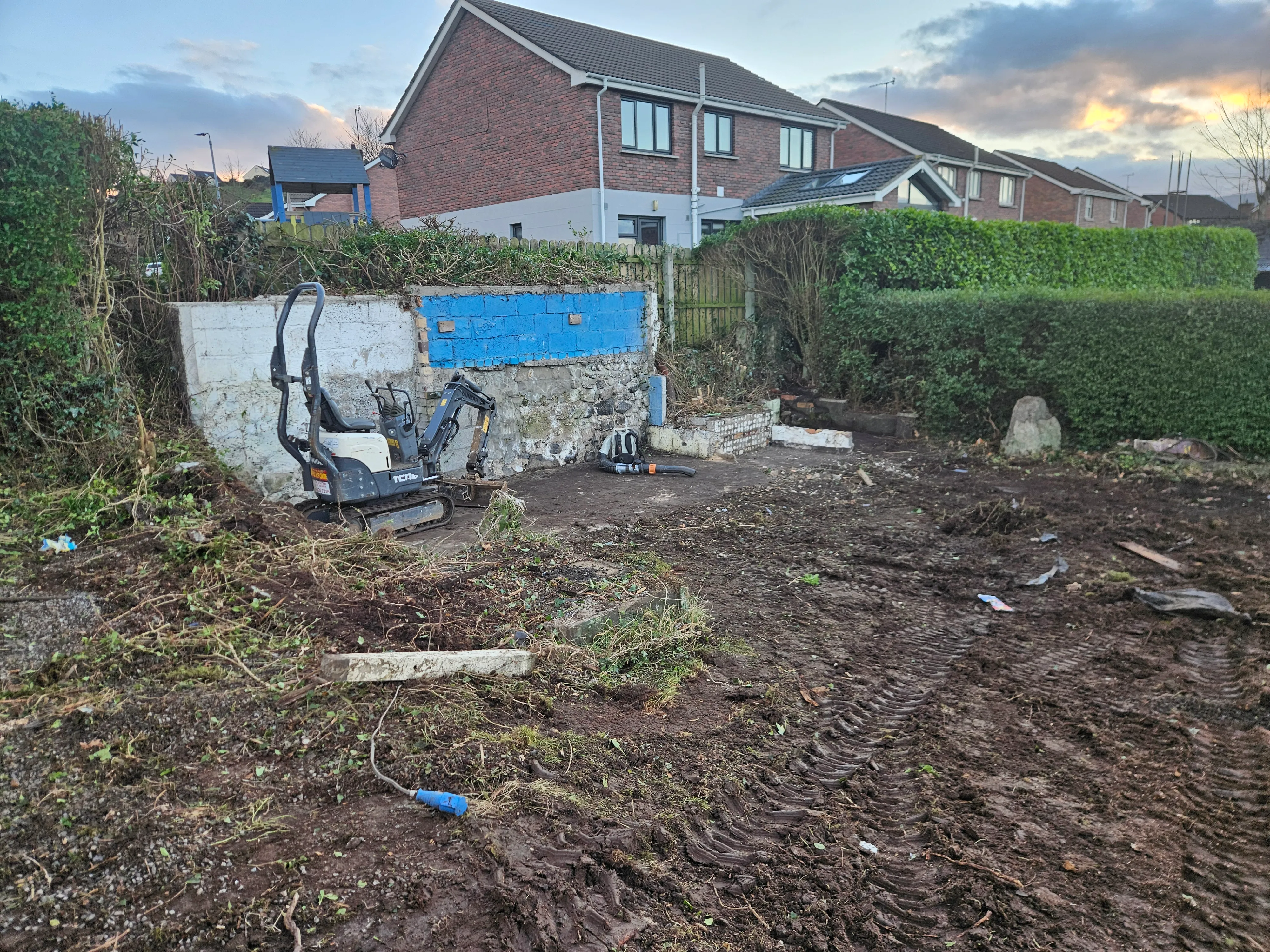 Gardening project 10 — Seamus & Pete, County Louth