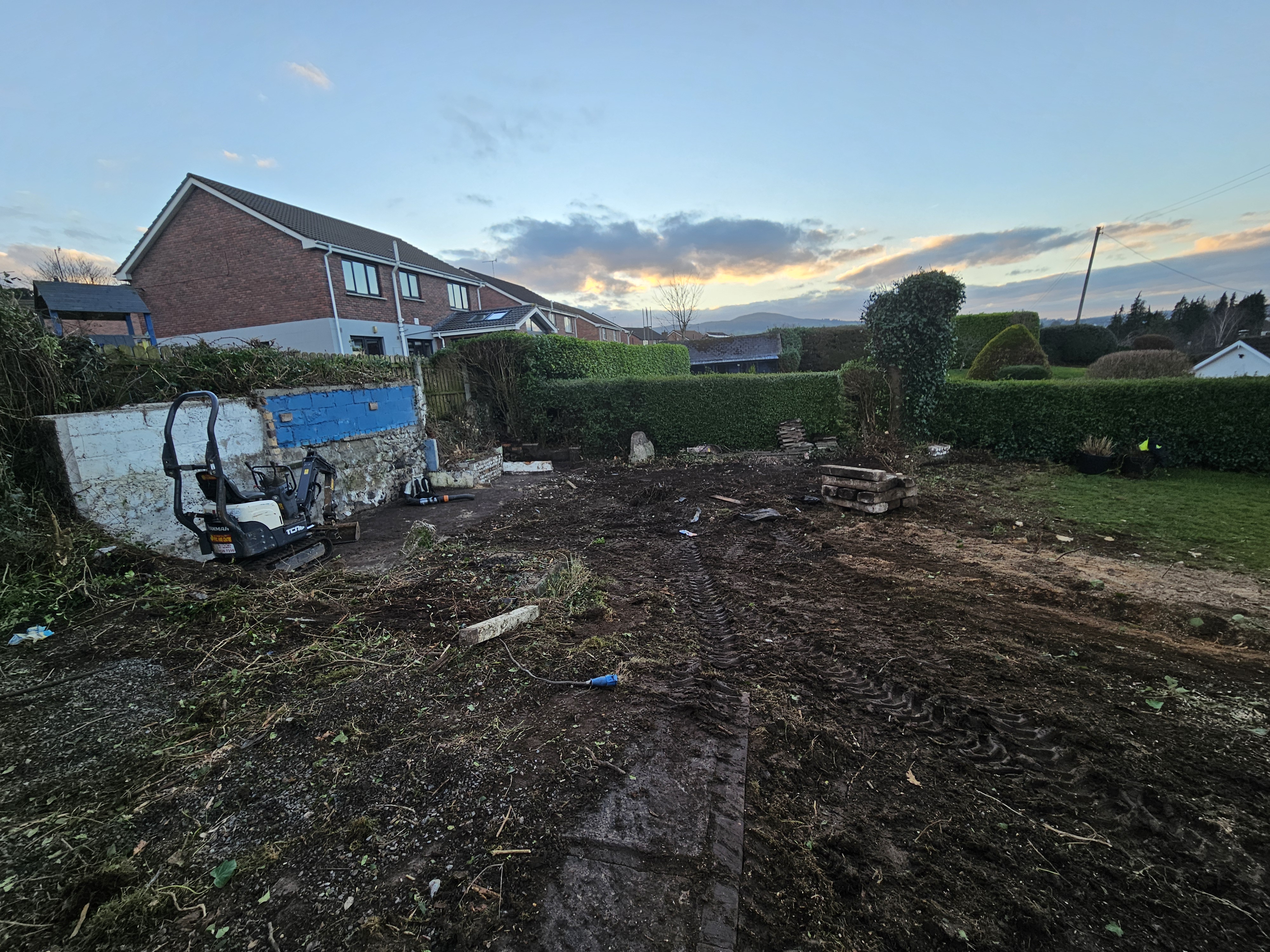 How to Remove Brambles from Your Garden — A Complete Guide