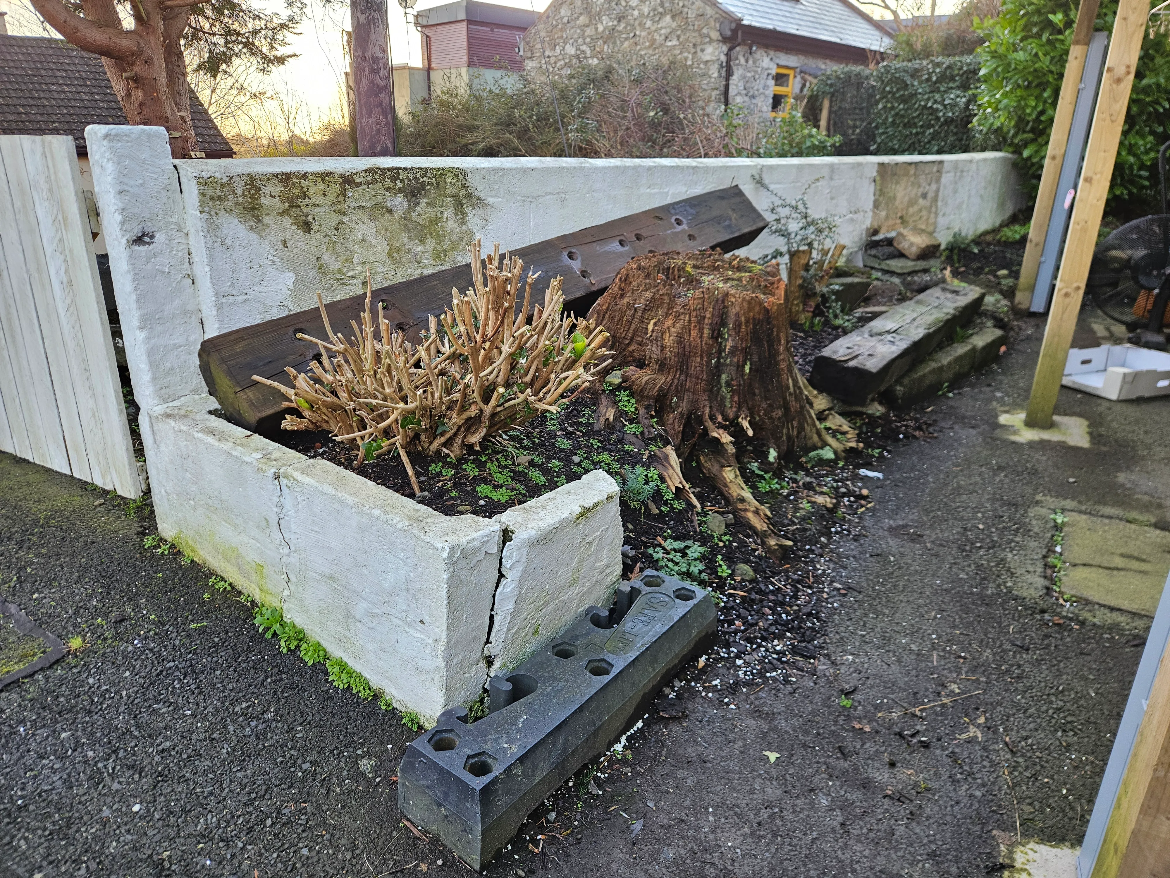 Gardening project 16 — Seamus & Pete, County Louth