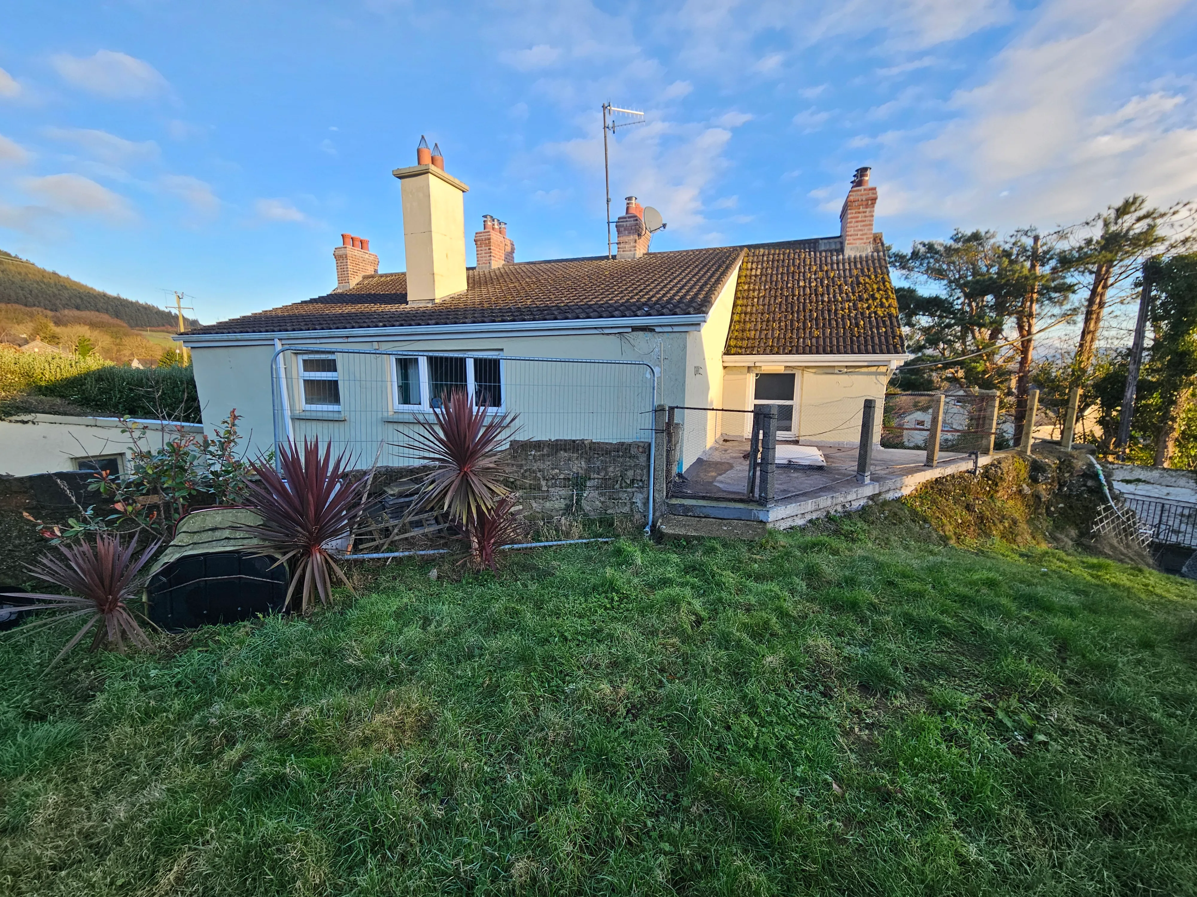 Gardening project 17 — Seamus & Pete, County Louth