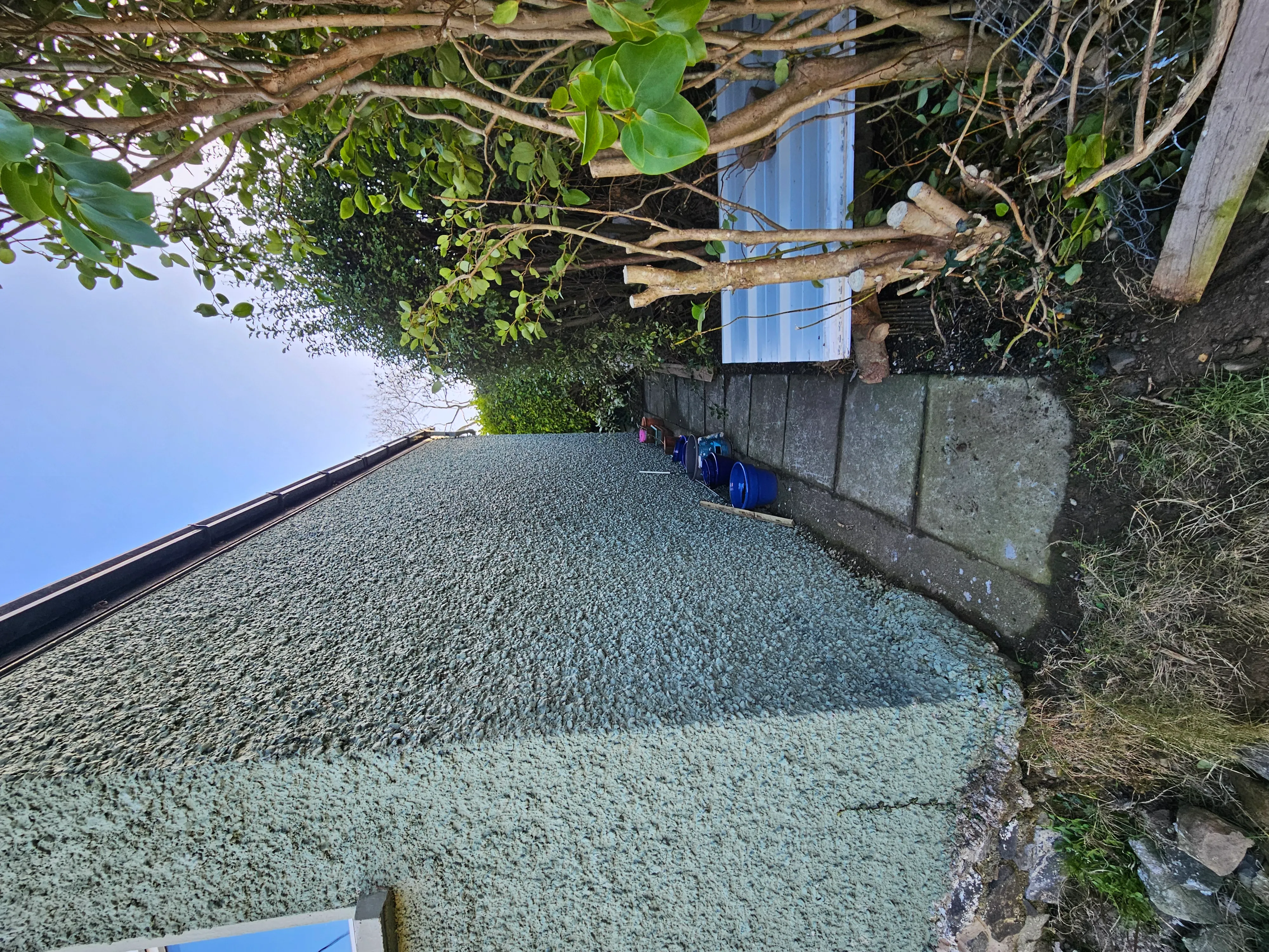 Gardening project 22 — Seamus & Pete, County Louth