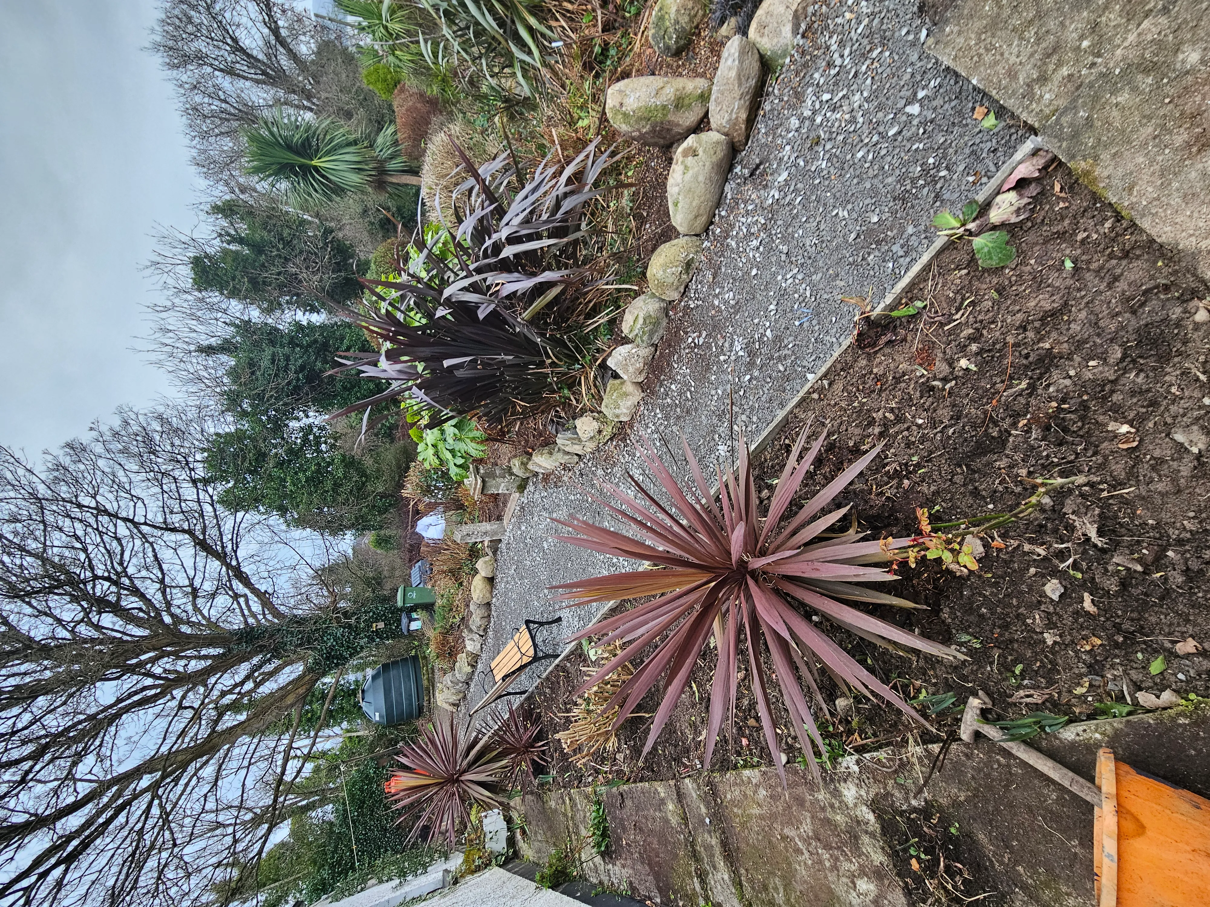 Gardening project 36 — Seamus & Pete, County Louth