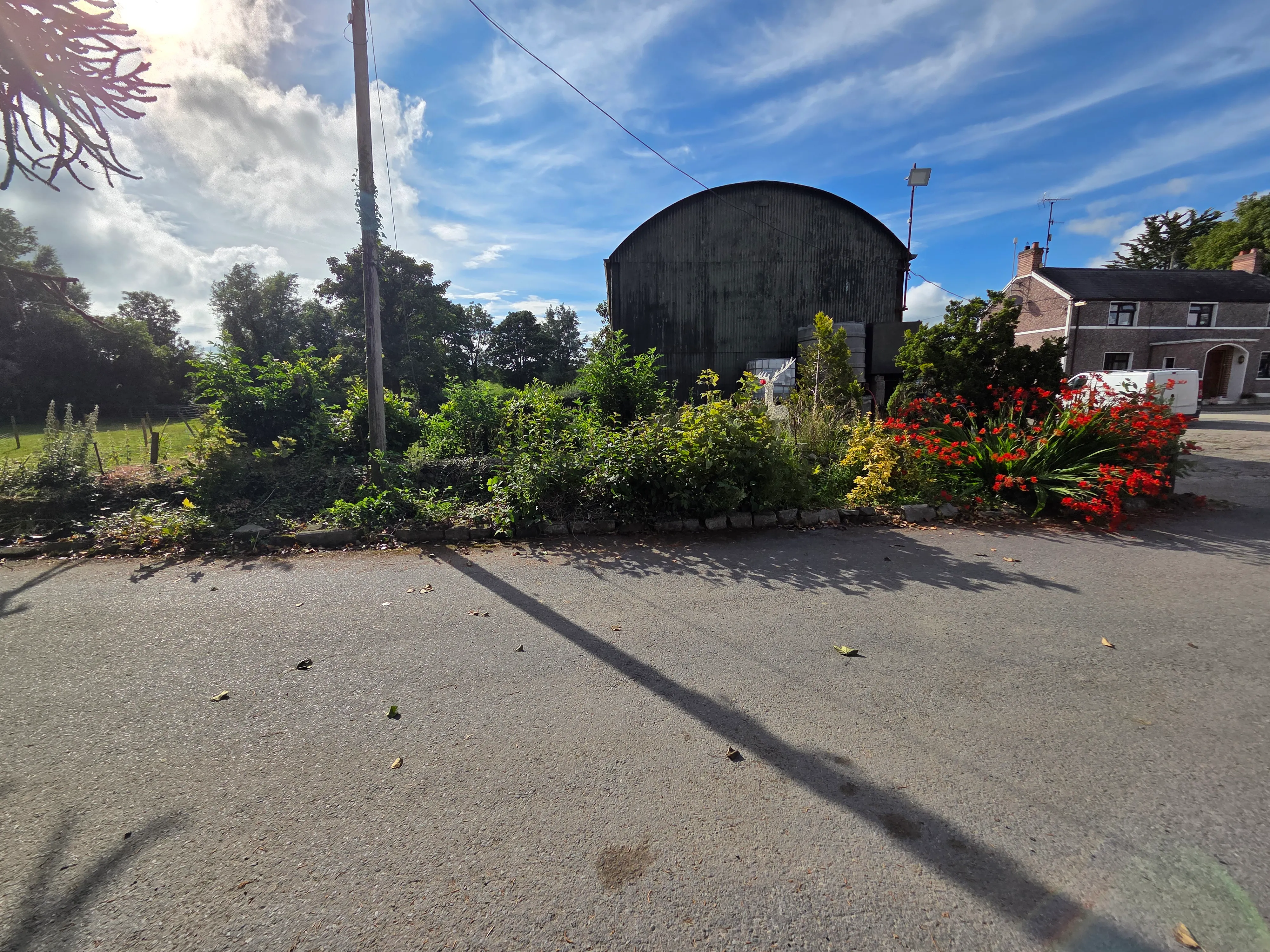 An overgrown leylandii hedge being brought under control