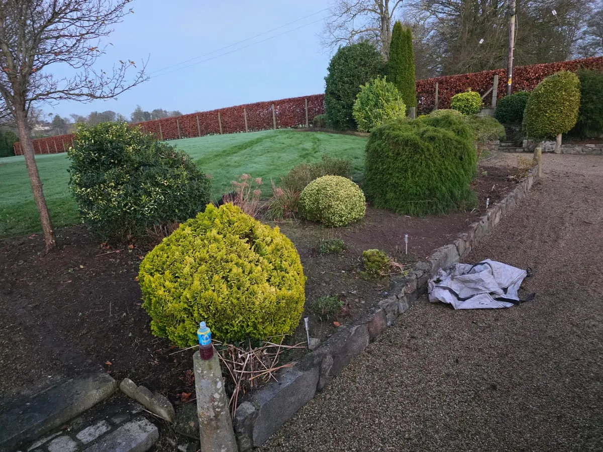 What to Do with Garden Waste in Ireland — Your Disposal Options Explained