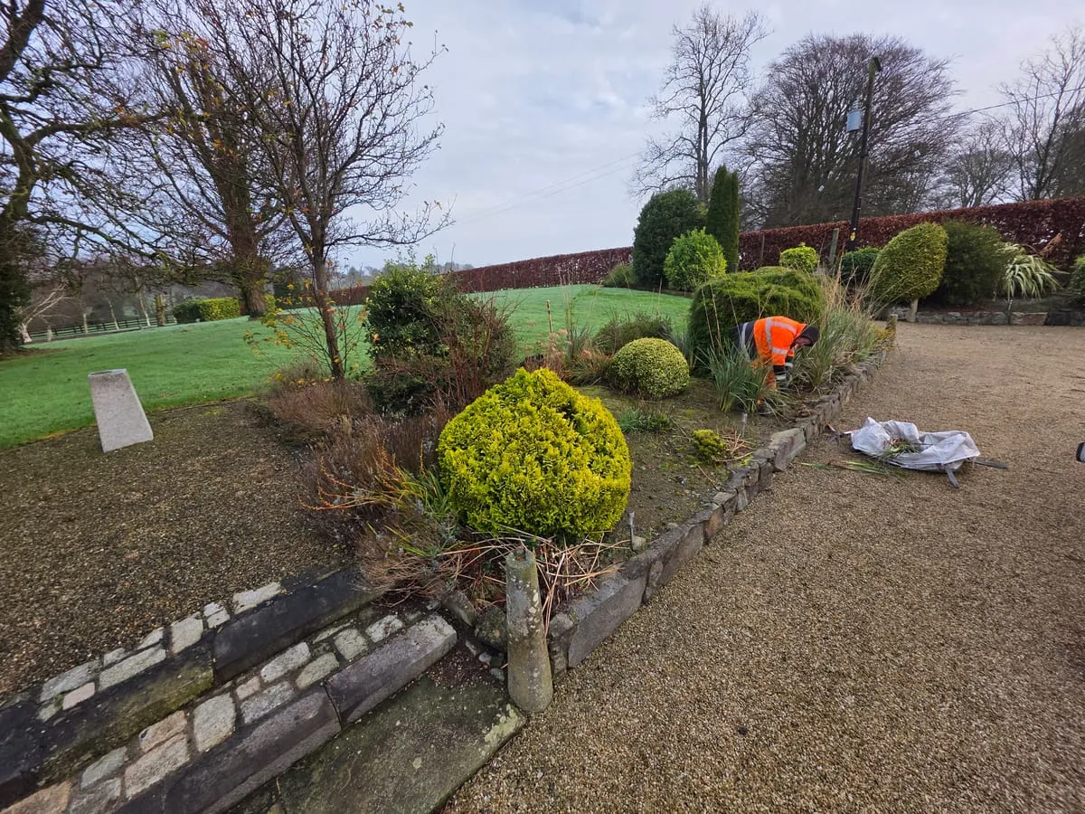 More of the overgrown area before work