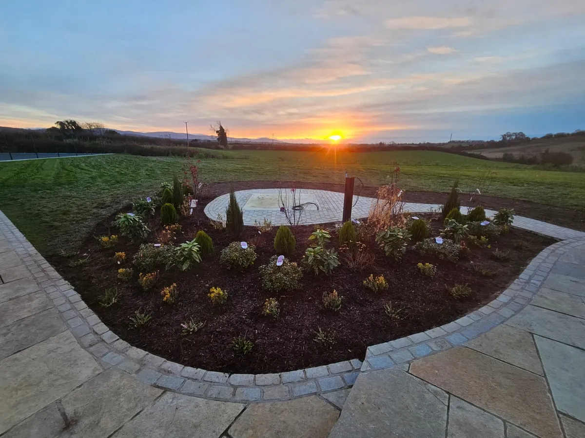 What Should I Ask a Garden Centre Near Me: Selecting Plants For Irish Weather Conditions