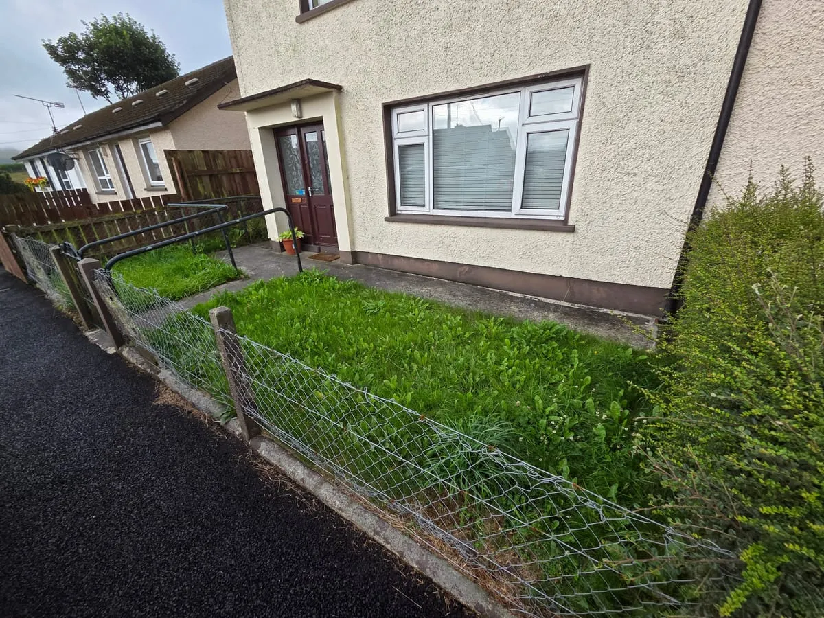 The back garden before work started