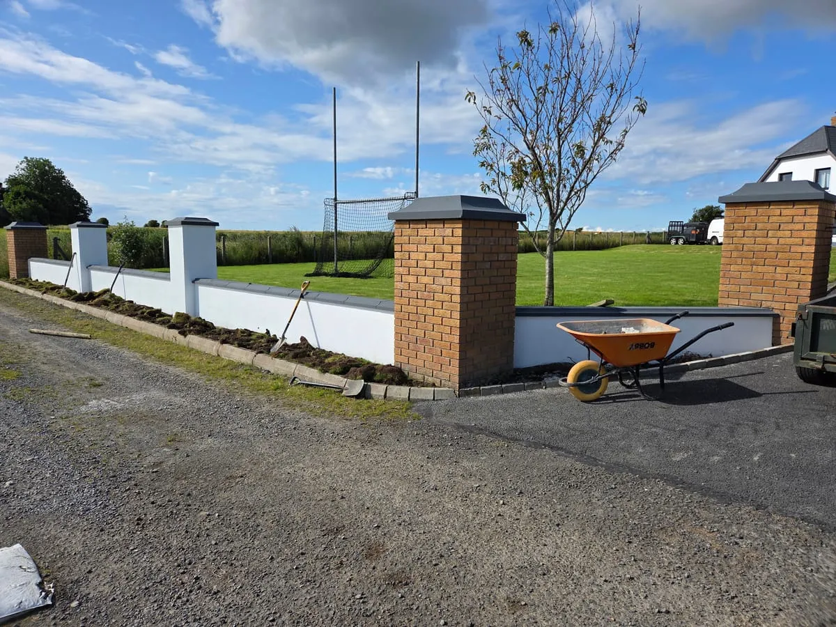 The driveway before the transformation