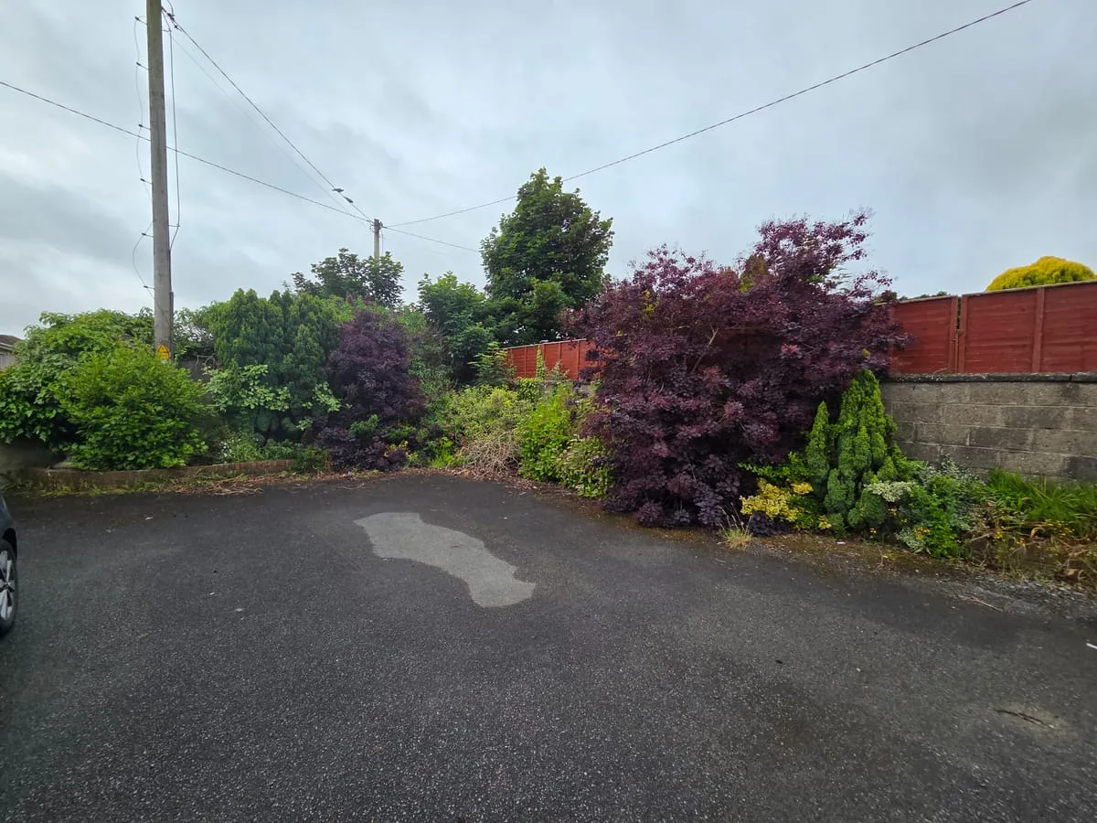 The overgrown garden before the transformation