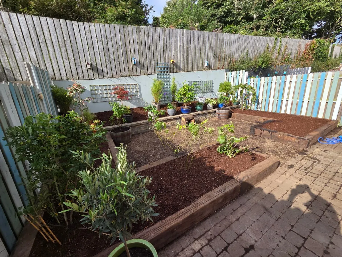 How to Clean Decking: Top Tips for a Spotless Outdoor Space