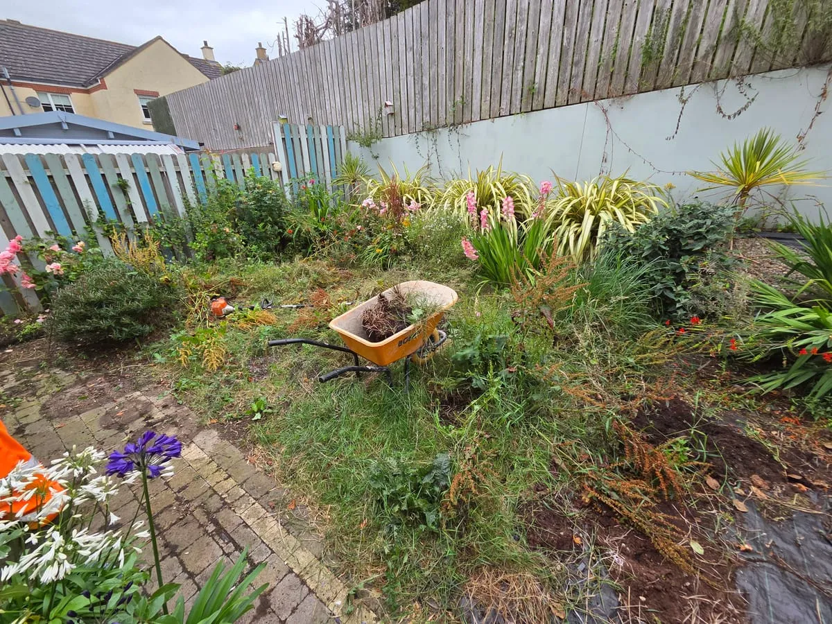 The area before the raised bed was built