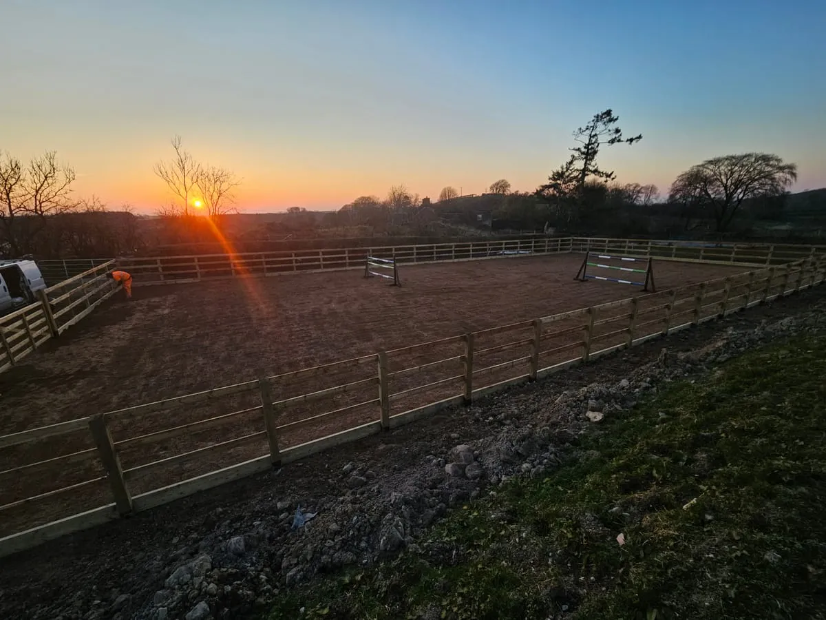 The paddock at sunset