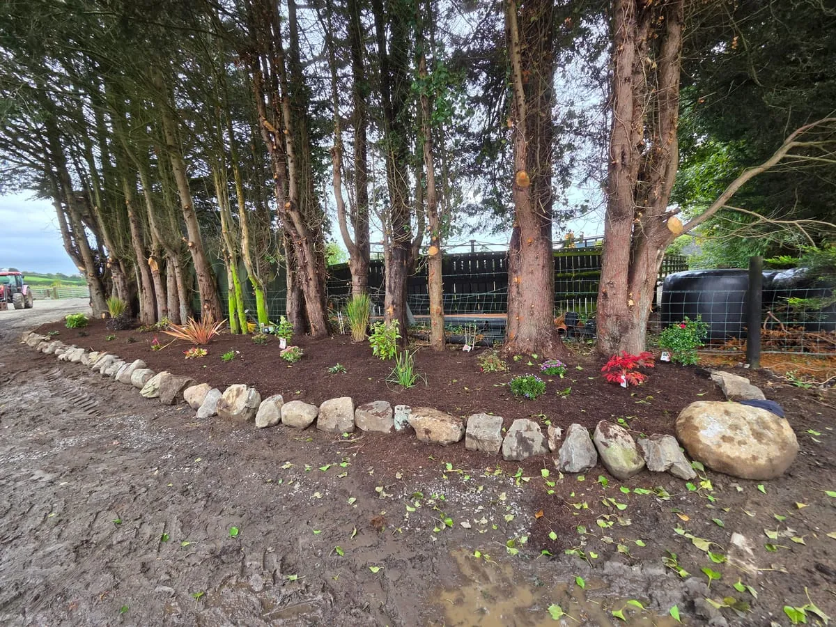 DIY Gardening Ideas: Innovative Tips for a Thriving Garden