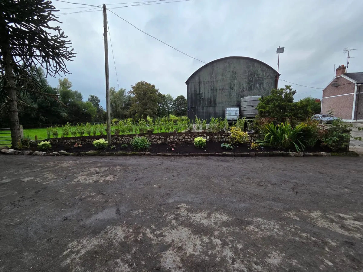 Sowing a Vegetable Patch: What Should I Ask a Gardening Service Near Me Beforehand