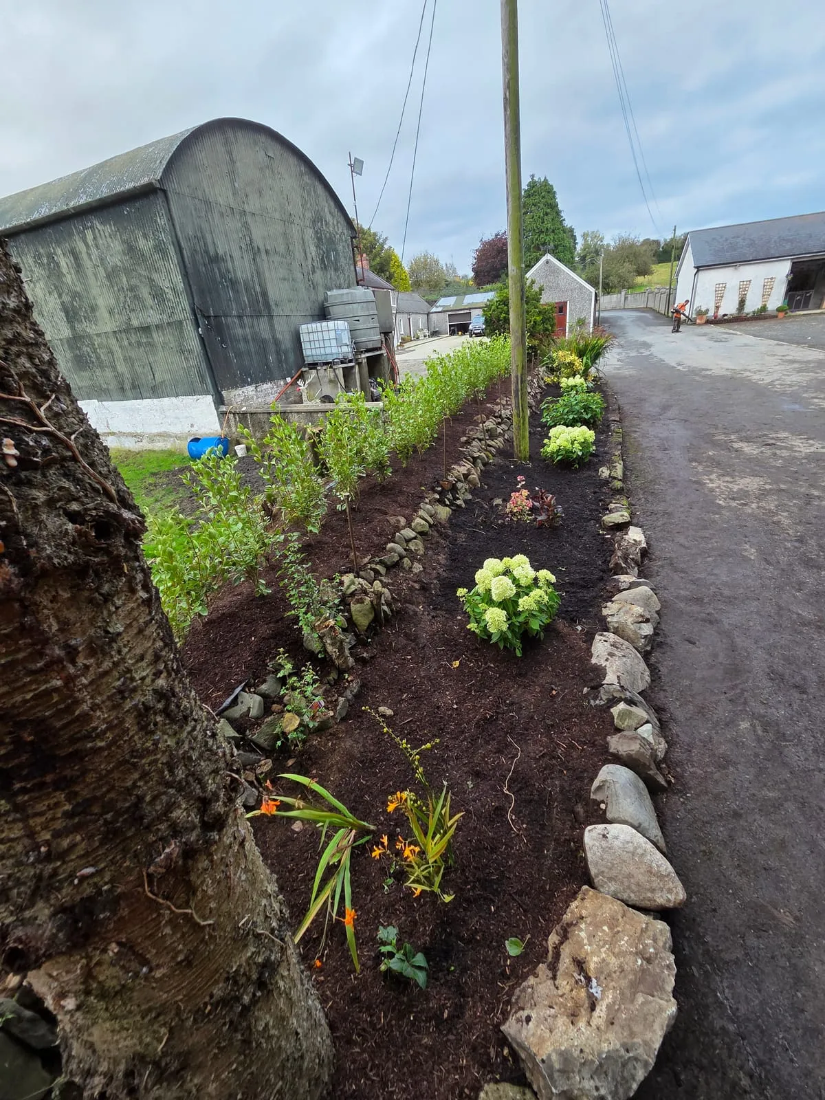 Border Ideas for Garden: Enhancing Your Outdoor Space with Style