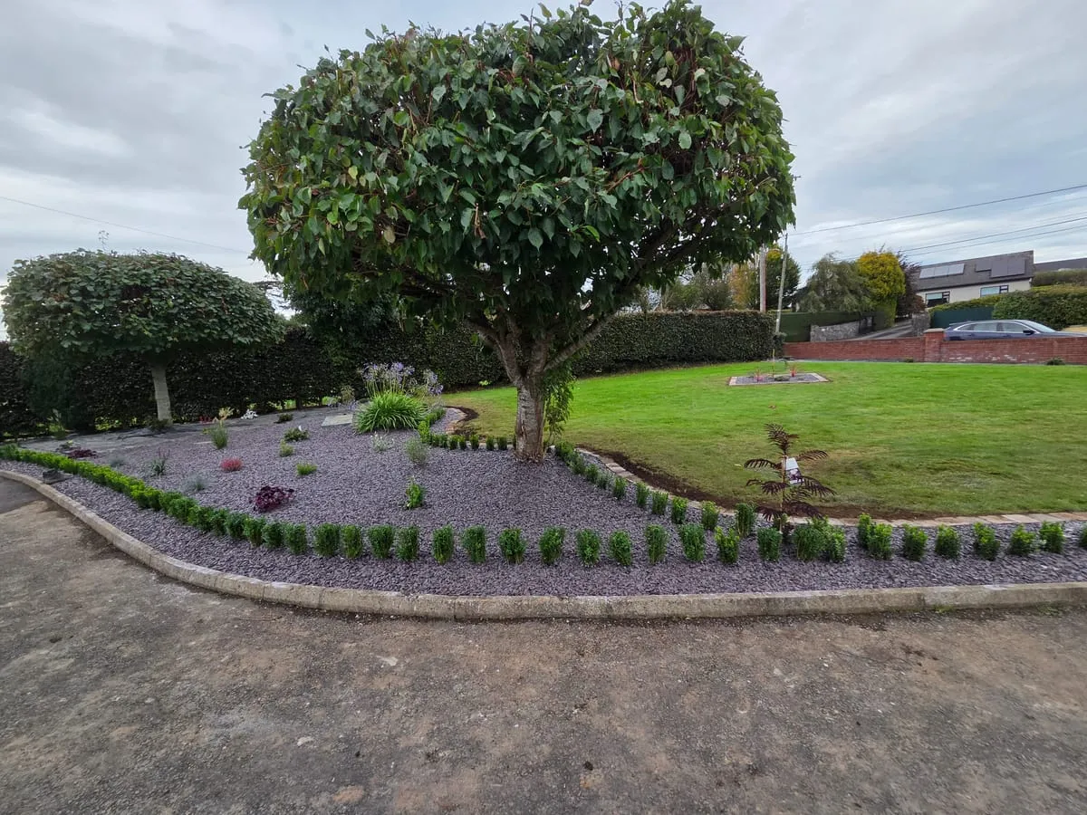 How to Overseed a Lawn in Ireland — A Complete Step-by-Step Guide