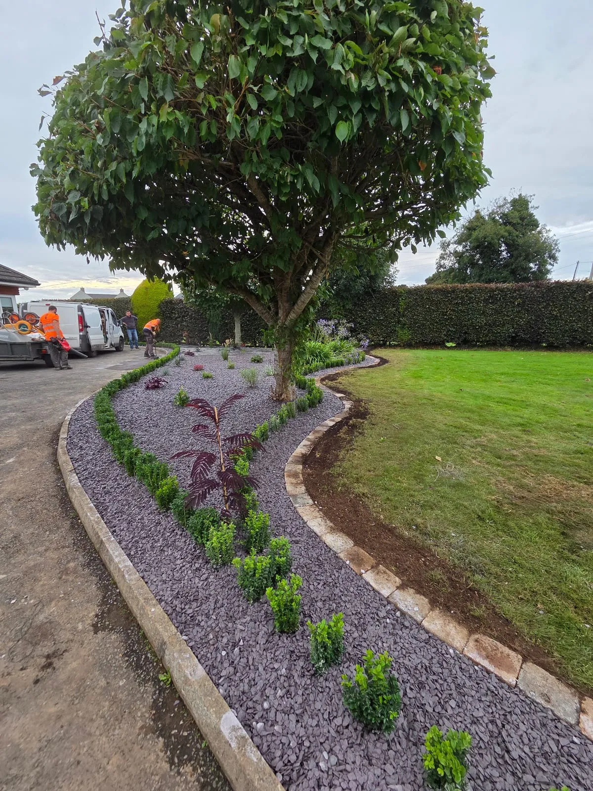 Scarifying Lawn Guide: Simple Steps to a Healthy, Lush Garden