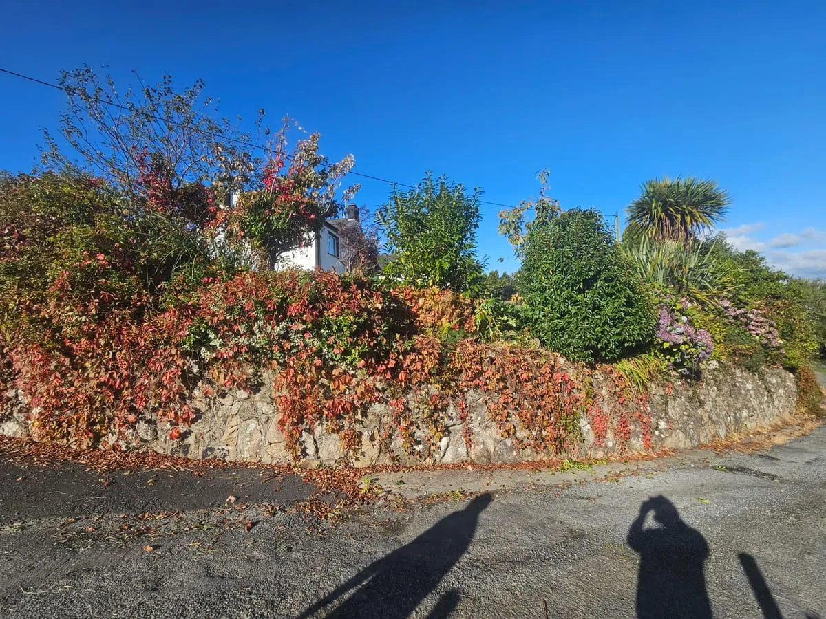 The front area before clearance