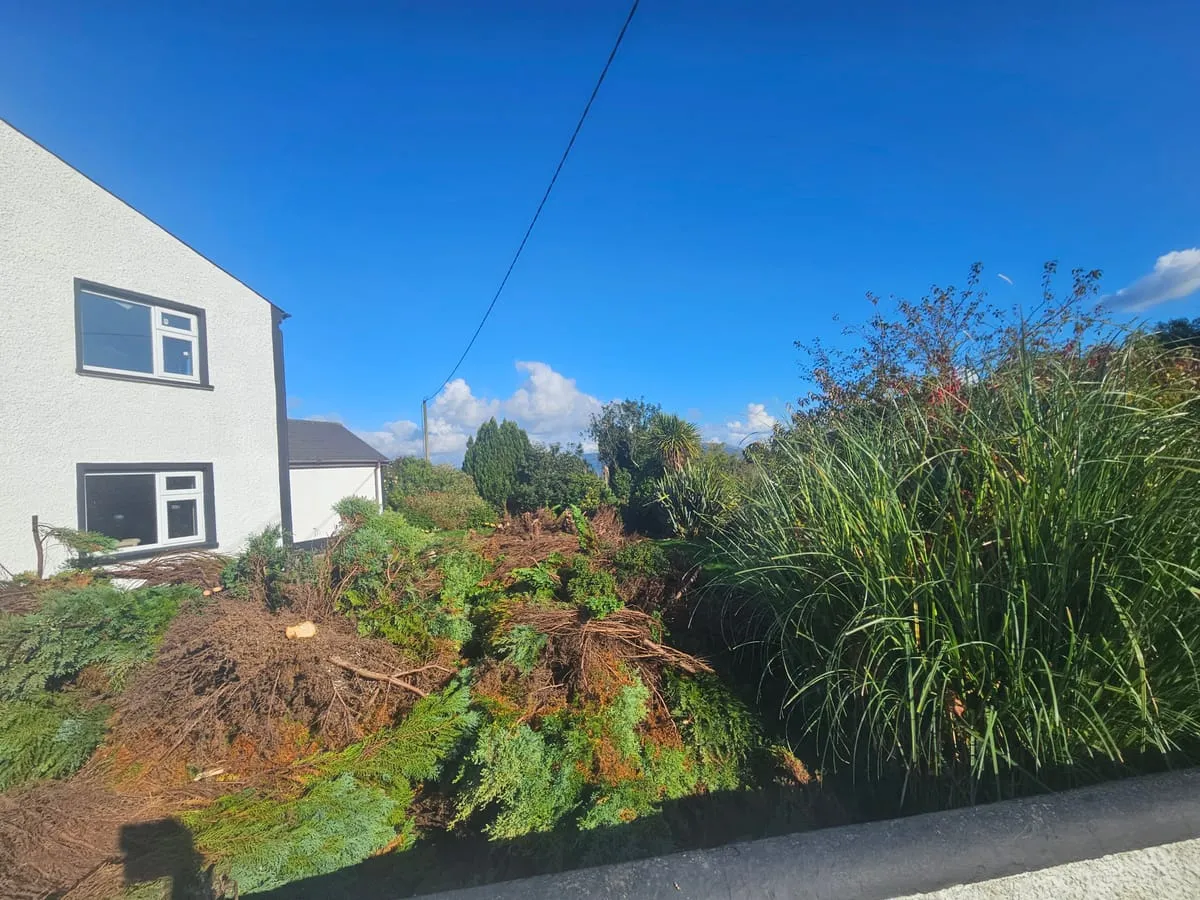 Overgrown side section