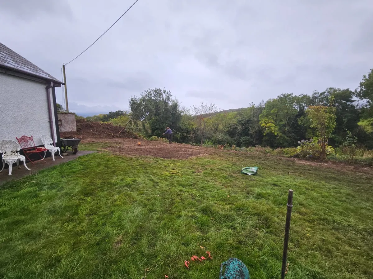 How to Remove Brambles from Your Garden — A Complete Guide