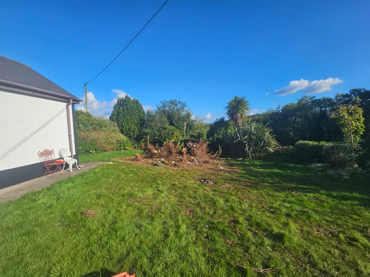 Work in progress on another area